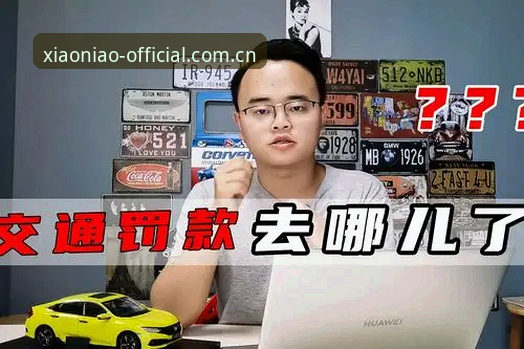小鸟体育APP下载安全吗？官方最新动态披露三大关键验证点